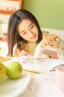 消失的大象